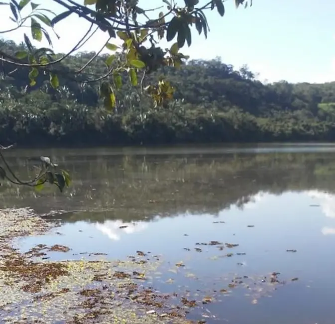 Foto 3 de Fazenda / Haras à venda em Pedro Afonso - TO
