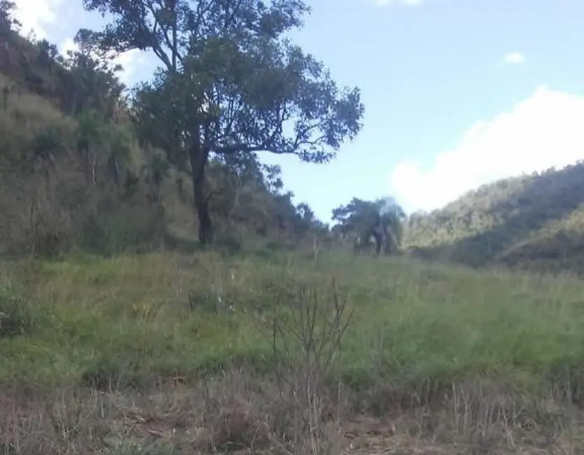 Foto 8 de Fazenda / Haras à venda em Pedro Afonso - TO