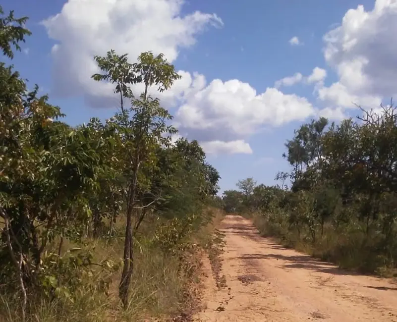 Foto 4 de Fazenda / Haras à venda em Pedro Afonso - TO