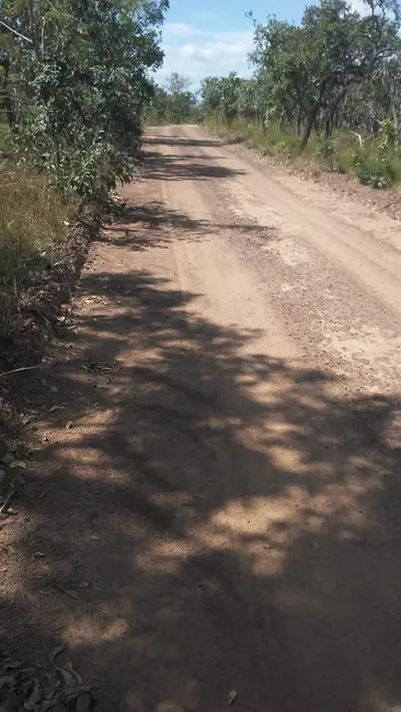 Foto 9 de Fazenda / Haras à venda em Pedro Afonso - TO