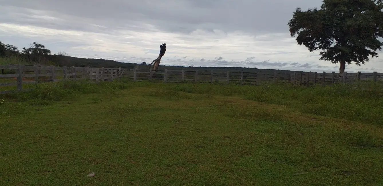 Foto 7 de Fazenda / Haras à venda em Presidente Kennedy - TO