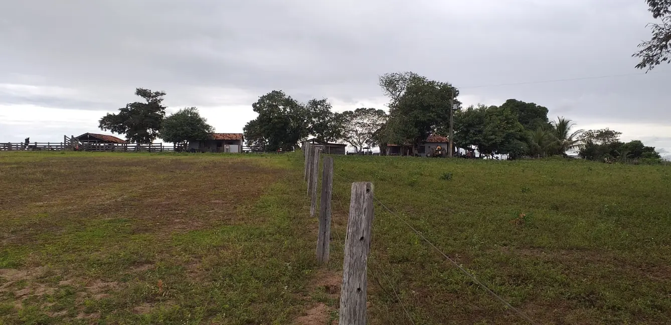 Foto 3 de Fazenda / Haras à venda em Presidente Kennedy - TO