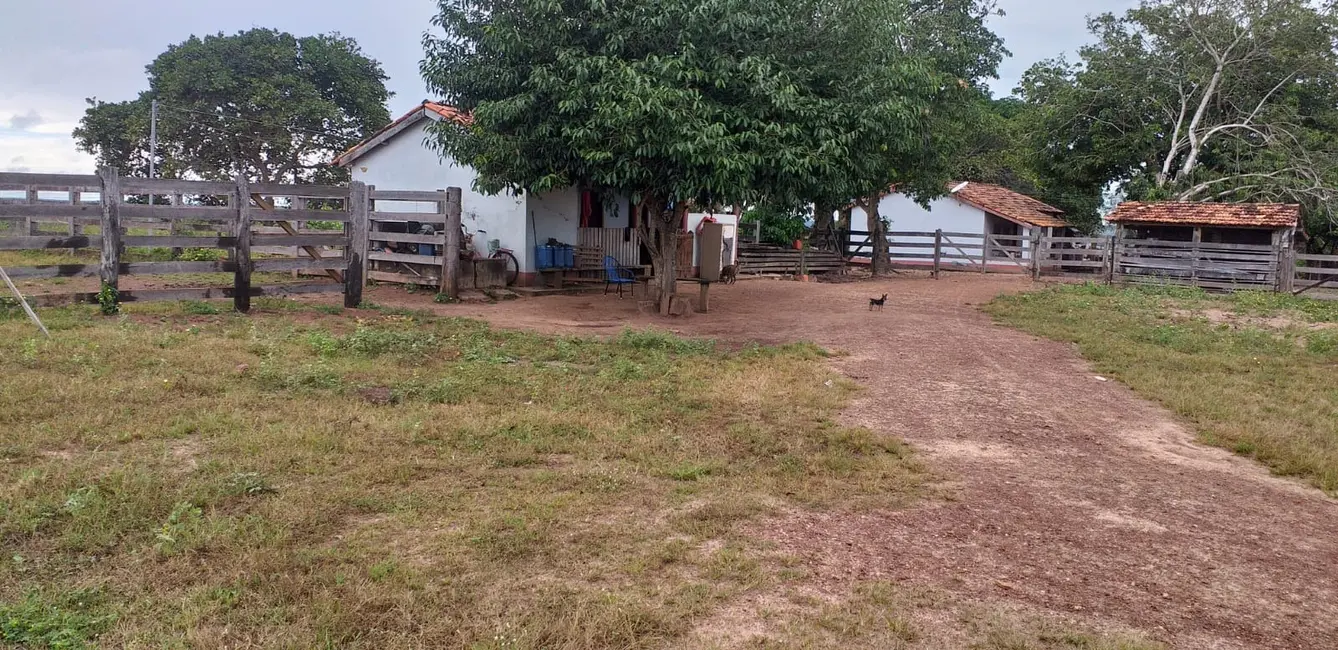 Foto 6 de Fazenda / Haras à venda em Presidente Kennedy - TO