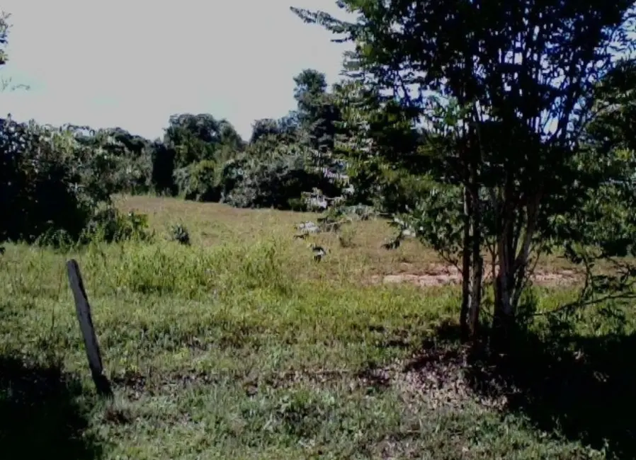 Foto 9 de Fazenda / Haras à venda em Colinas Do Tocantins - TO