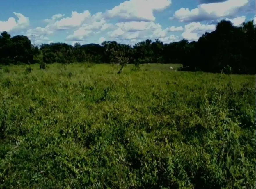 Foto 4 de Fazenda / Haras à venda em Colinas Do Tocantins - TO