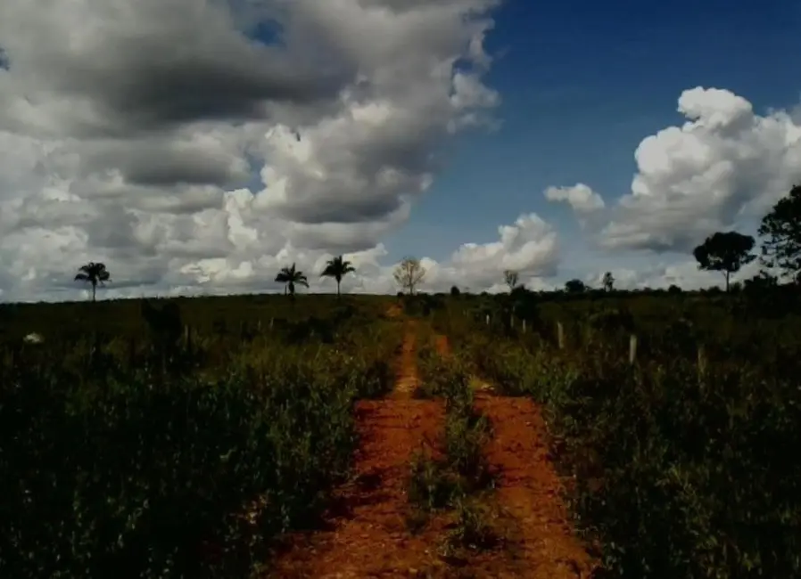 Foto 1 de Fazenda / Haras à venda em Colinas Do Tocantins - TO