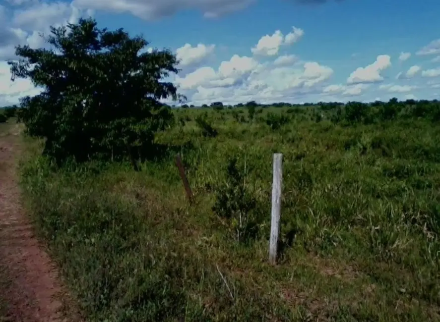 Foto 5 de Fazenda / Haras à venda em Colinas Do Tocantins - TO