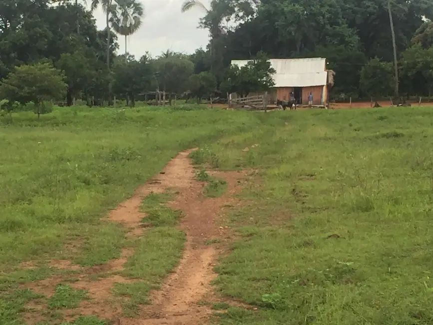Foto 4 de Fazenda / Haras à venda em Goiatins - TO