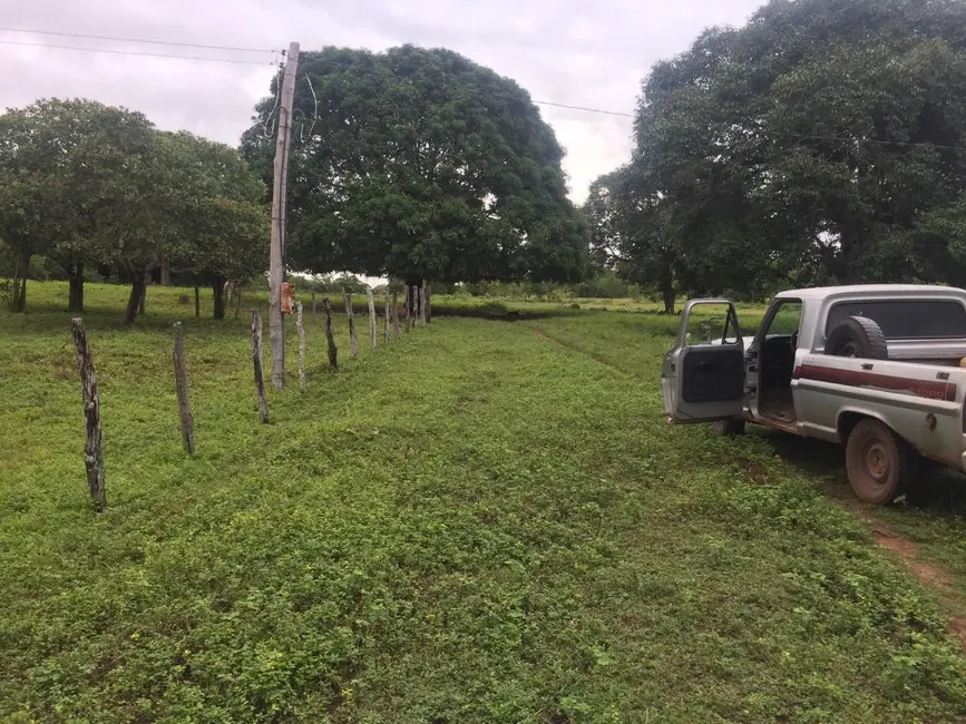 Foto 1 de Fazenda / Haras à venda em Goiatins - TO