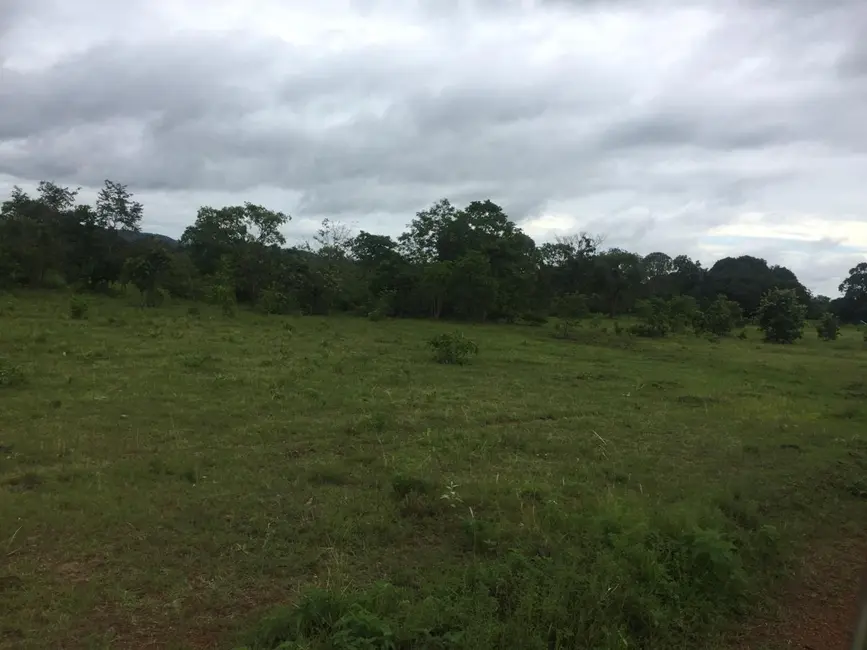 Foto 3 de Fazenda / Haras à venda em Goiatins - TO