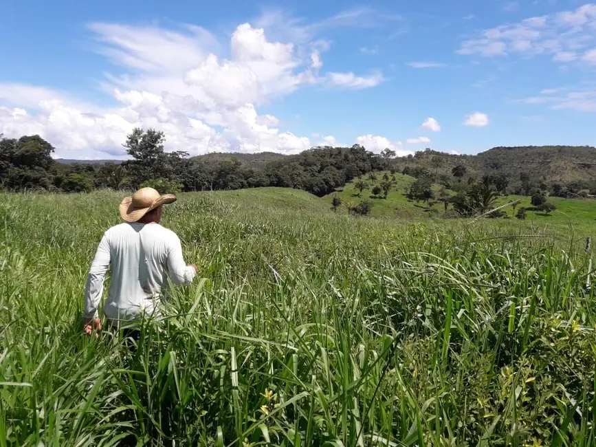 Foto 10 de Fazenda / Haras à venda em Palmas - TO