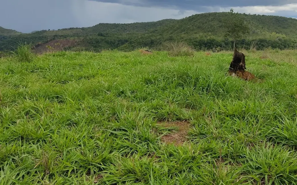 Foto 11 de Fazenda / Haras à venda em Palmas - TO