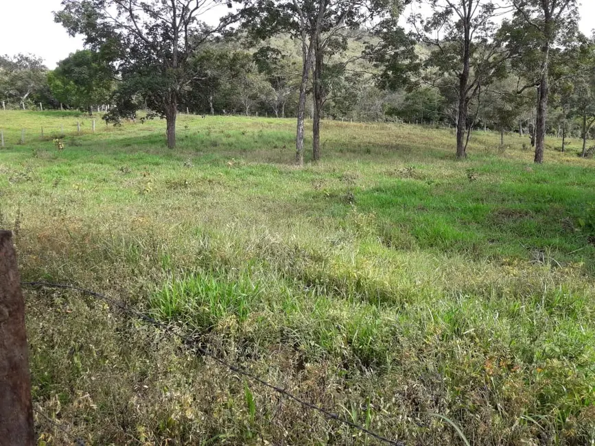 Foto 12 de Fazenda / Haras à venda em Palmas - TO