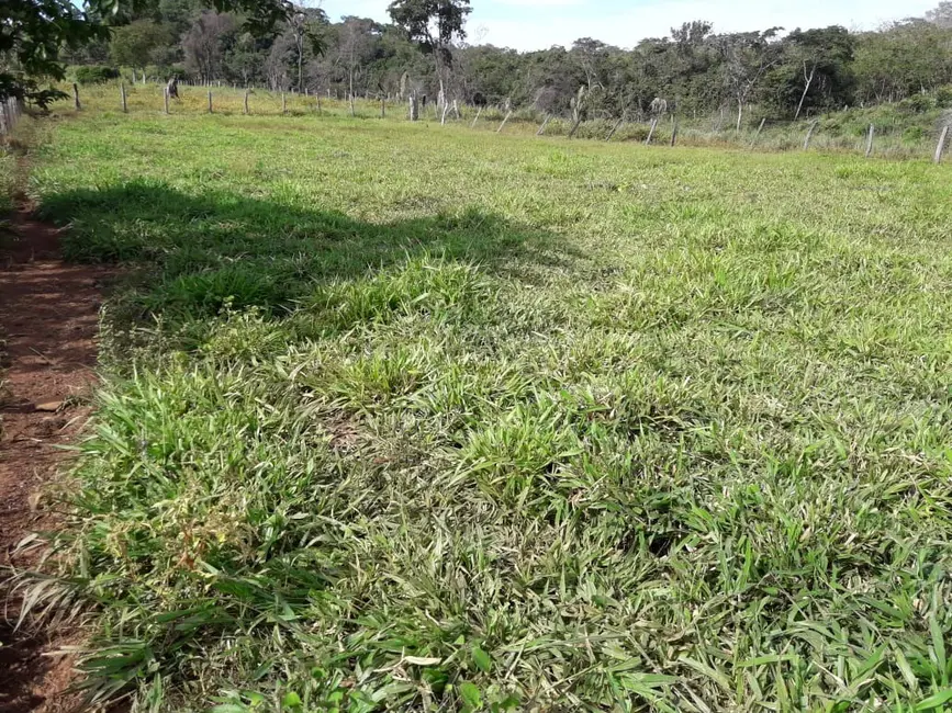 Foto 2 de Fazenda / Haras à venda em Palmas - TO