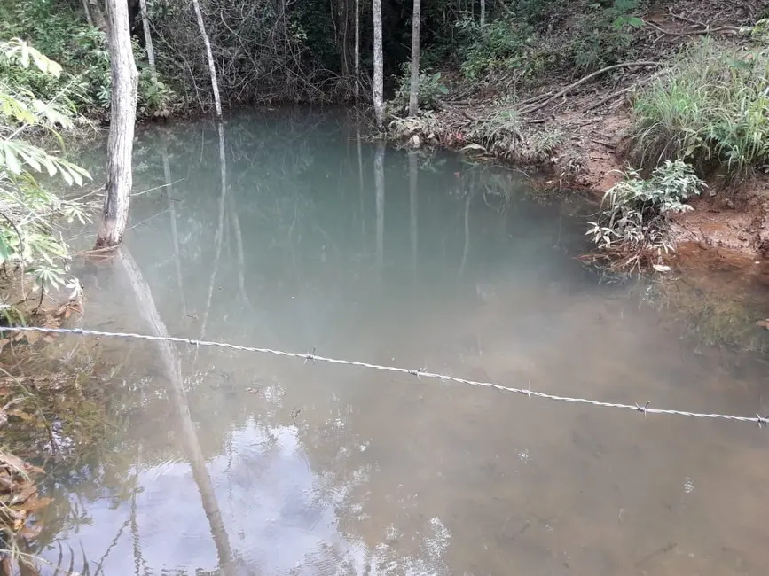 Foto 14 de Fazenda / Haras à venda em Palmas - TO