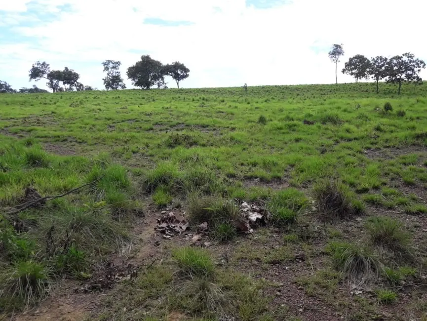 Foto 9 de Fazenda / Haras à venda em Palmas - TO