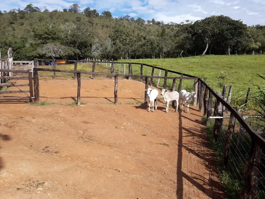 Foto 7 de Fazenda / Haras à venda em Palmas - TO