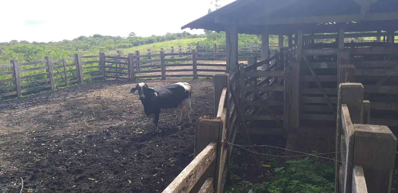 Foto 2 de Fazenda / Haras à venda em Rondon Do Para - PA