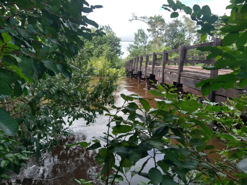 Foto 7 de Fazenda / Haras à venda em Alto Parnaiba - MA