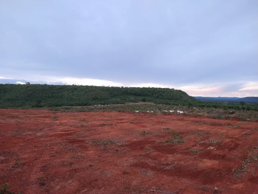 Foto 9 de Fazenda / Haras à venda em Alto Parnaiba - MA
