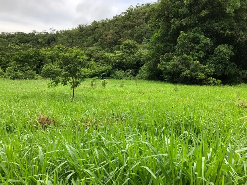 Foto 8 de Fazenda / Haras com 4 quartos à venda, 140m2 em Monte Do Carmo - TO