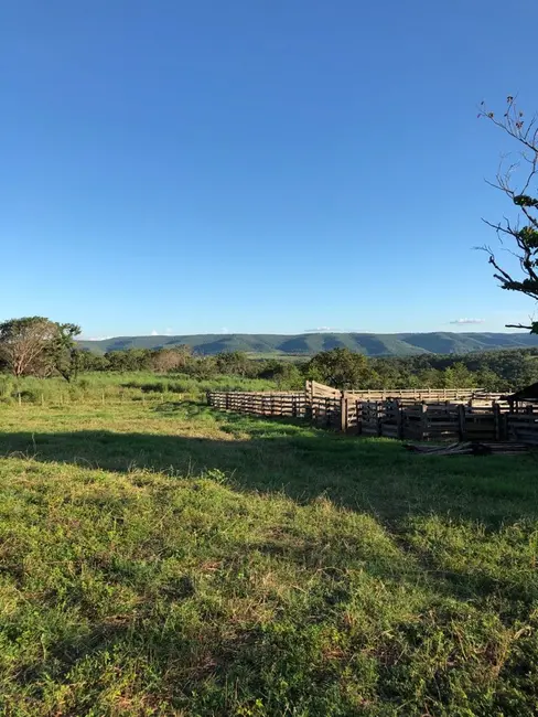 Foto 2 de Fazenda / Haras com 4 quartos à venda, 140m2 em Monte Do Carmo - TO