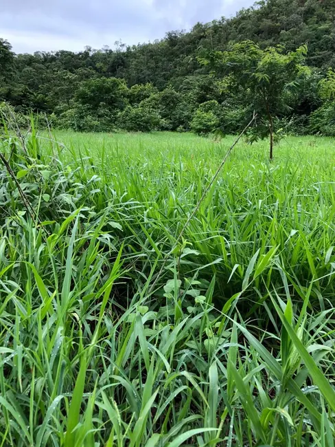 Foto 9 de Fazenda / Haras com 4 quartos à venda, 140m2 em Monte Do Carmo - TO