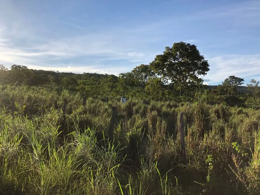 Foto 5 de Fazenda / Haras com 4 quartos à venda, 140m2 em Monte Do Carmo - TO