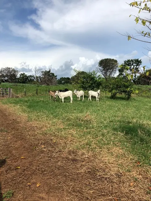 Foto 4 de Fazenda / Haras com 4 quartos à venda, 140m2 em Monte Do Carmo - TO