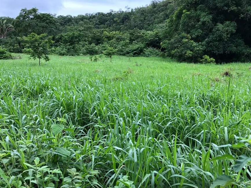 Foto 6 de Fazenda / Haras com 4 quartos à venda, 140m2 em Monte Do Carmo - TO