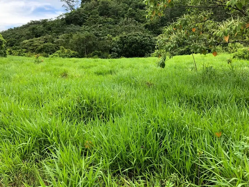 Foto 7 de Fazenda / Haras com 4 quartos à venda, 140m2 em Monte Do Carmo - TO