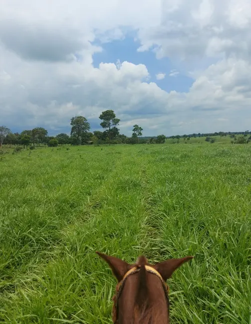 Foto 1 de Fazenda / Haras à venda em Guarai - TO