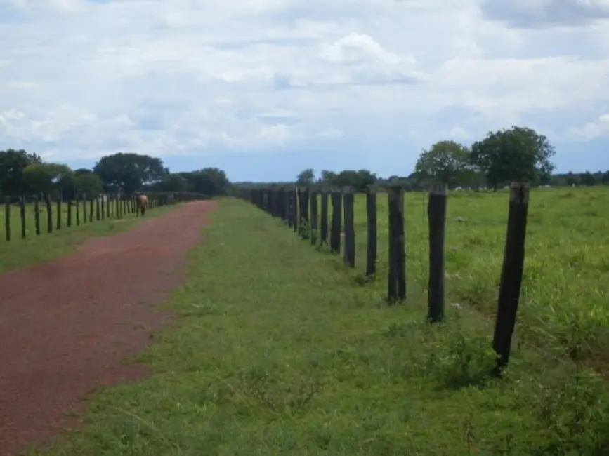 Foto 3 de Fazenda / Haras à venda em Sao Felix Do Araguaia - MT