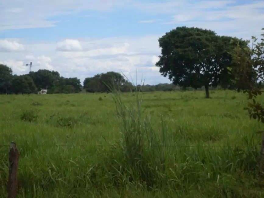Foto 9 de Fazenda / Haras à venda em Sao Felix Do Araguaia - MT