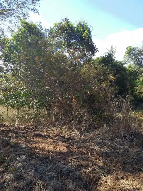 Foto 3 de Fazenda / Haras à venda em Aruana - GO