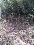 Imagem 8