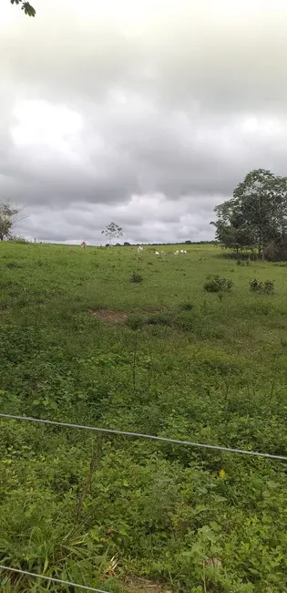 Foto 21 de Fazenda / Haras à venda em Guarai - TO