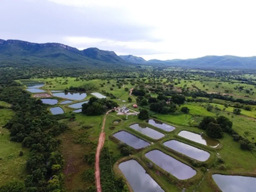 Foto 2 de Fazenda / Haras à venda em Monte Alegre De Goias - GO