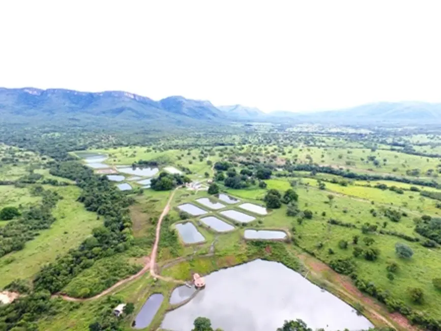Foto 3 de Fazenda / Haras à venda em Monte Alegre De Goias - GO
