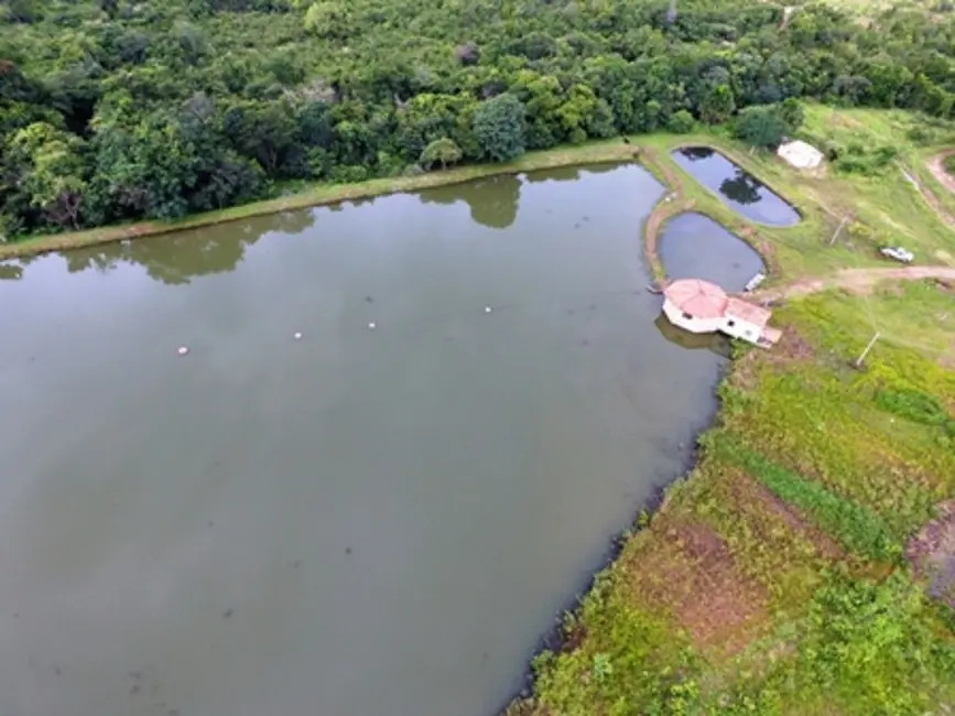 Foto 4 de Fazenda / Haras à venda em Monte Alegre De Goias - GO