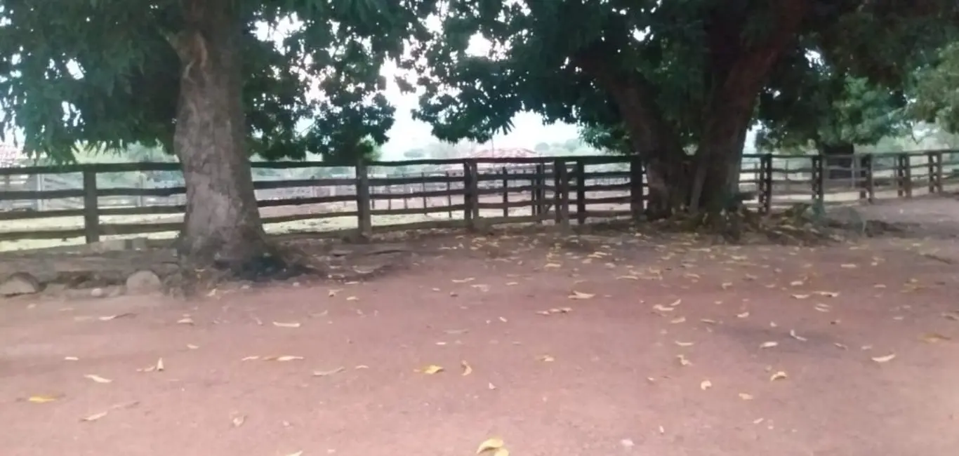 Foto 9 de Fazenda / Haras à venda em Monte Alegre De Goias - GO