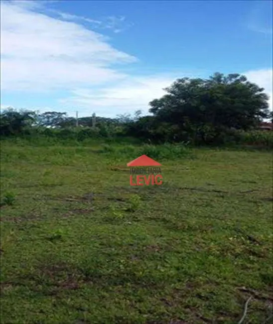 Foto 6 de Chácara com 1 quarto à venda, 745m2 em Rubineia - SP