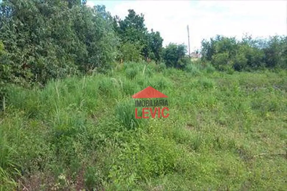 Foto 4 de Chácara com 1 quarto à venda, 745m2 em Rubineia - SP