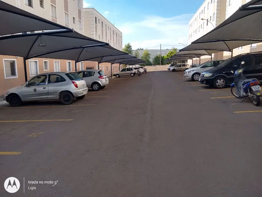 Apartamento com 2 quartos para alugar, 50m2 em Loteamento Industrial Machadinho, Americana - SP - imagem 3 Foto 3 de Apartamento com 2 quartos para alugar, 50m2 em Loteamento Industrial Machadinho, Americana - SP