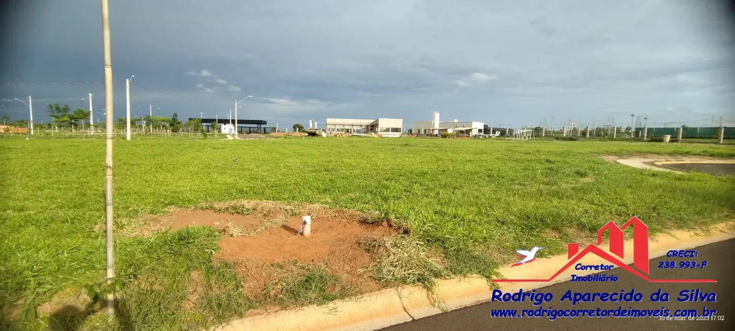 Foto 4 de Lote de Condomínio à venda, 287m2 em Aeroporto, Aracatuba - SP