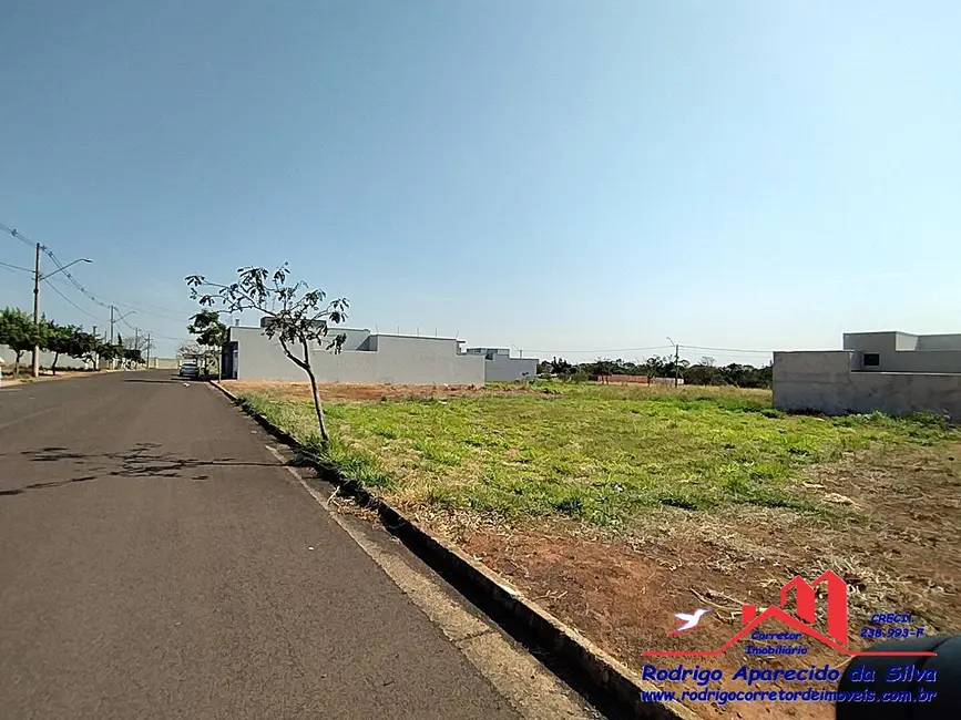 Terreno / Lote à venda, 250m2 em Parque das Árvores II, Birigui - SP - imagem 3 Foto 3 de Terreno / Lote à venda, 250m2 em Parque das Árvores II, Birigui - SP