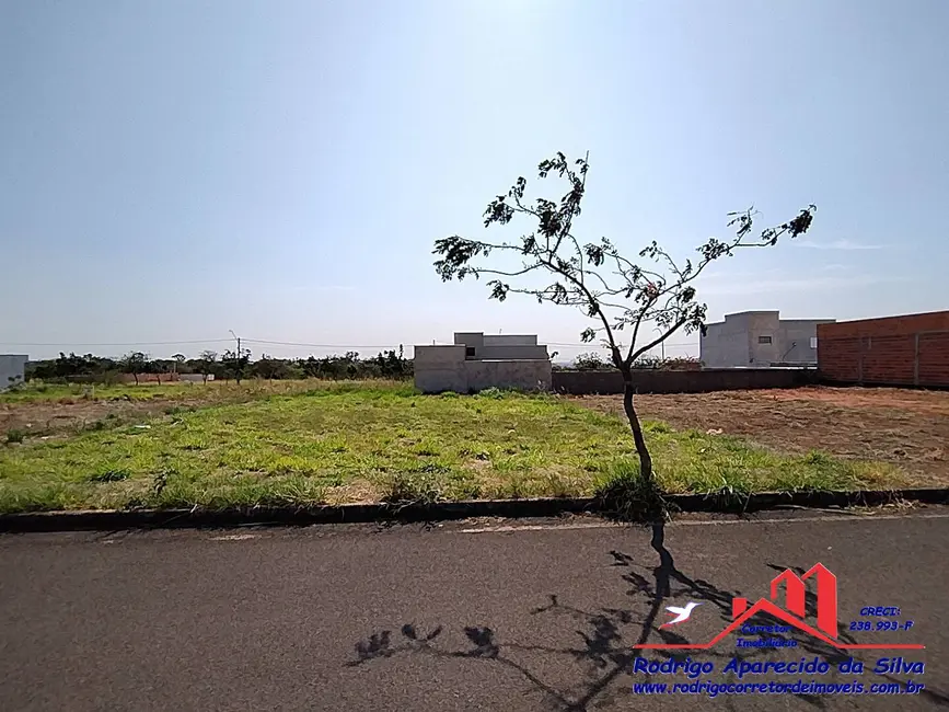 Foto 6 de Terreno / Lote à venda, 250m2 em Parque das Árvores II, Birigui - SP