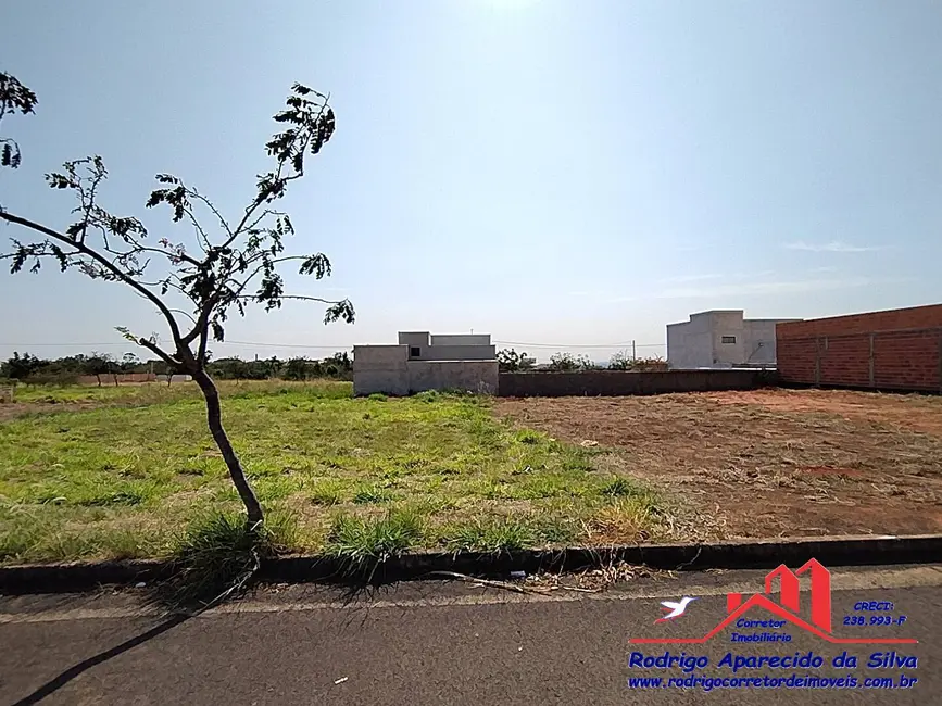 Foto 9 de Terreno / Lote à venda, 250m2 em Parque das Árvores II, Birigui - SP