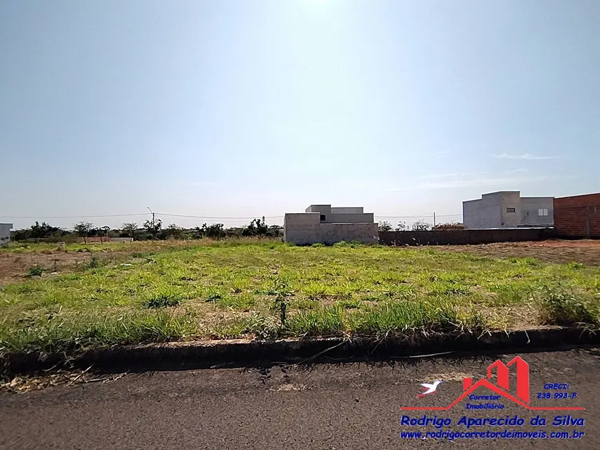 Foto 8 de Terreno / Lote à venda, 250m2 em Parque das Árvores II, Birigui - SP