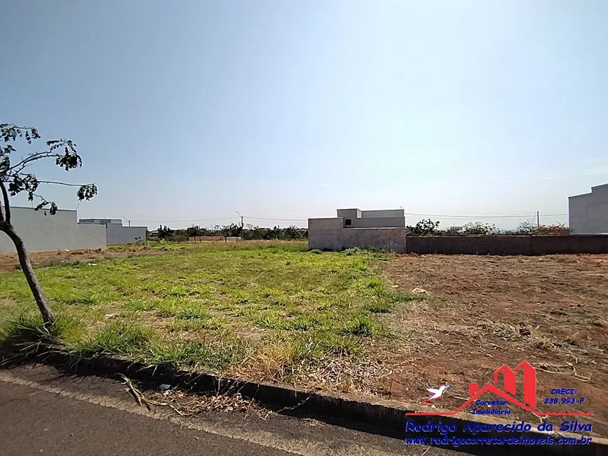 Foto 7 de Terreno / Lote à venda, 250m2 em Parque das Árvores II, Birigui - SP